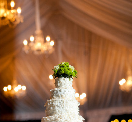 Tiered Coconut Wedding Cake