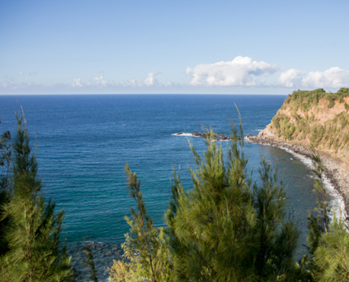 wedding alter overlooking the Maui coastline