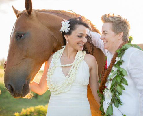 The happy brides with horse