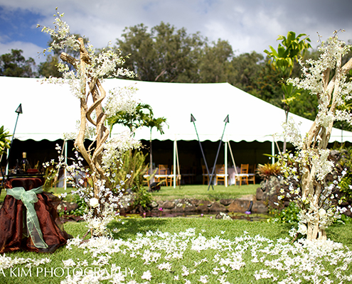 Wedding Reception Tent on Maui Estate